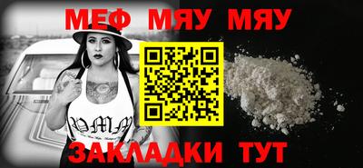 индика Гатчина