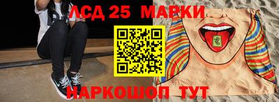 индика Гатчина