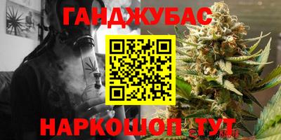 ALPHA PVP Гай