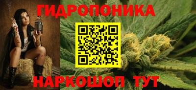индика Гатчина