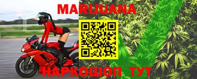 индика Гатчина