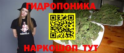 ALPHA PVP Гай