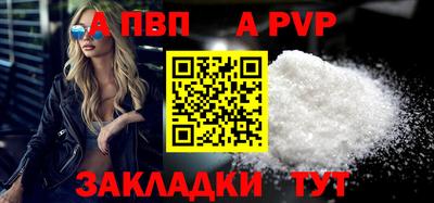 индика Гатчина