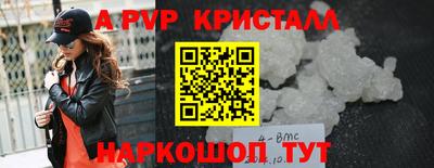 индика Гатчина