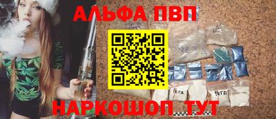 индика Гатчина